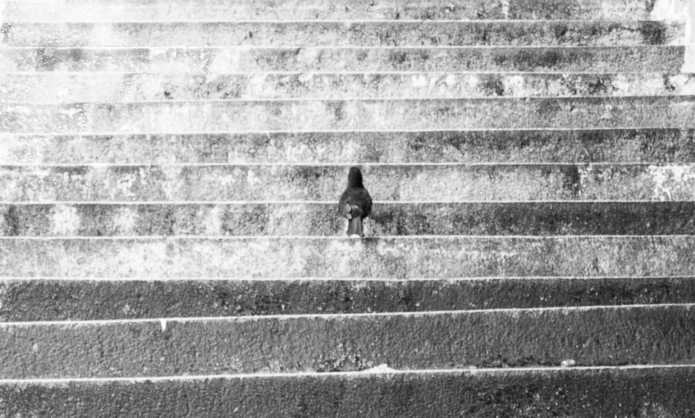 treppe-1.jpg