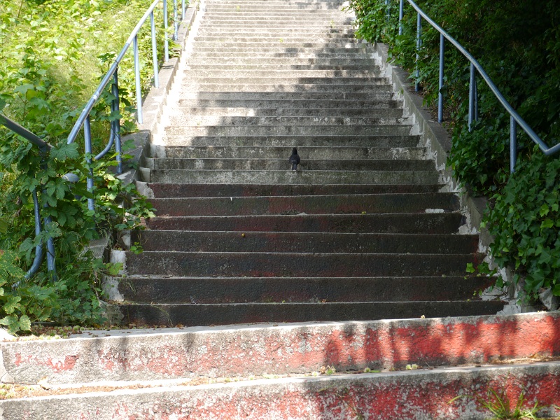 treppe.jpg