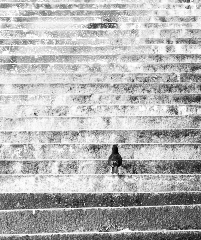 treppe-2.jpg