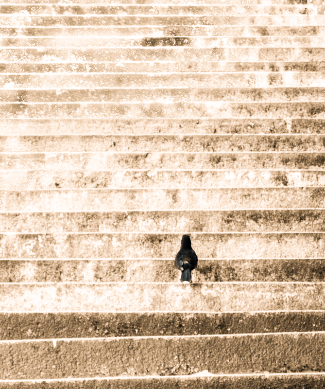 treppe-4.jpg