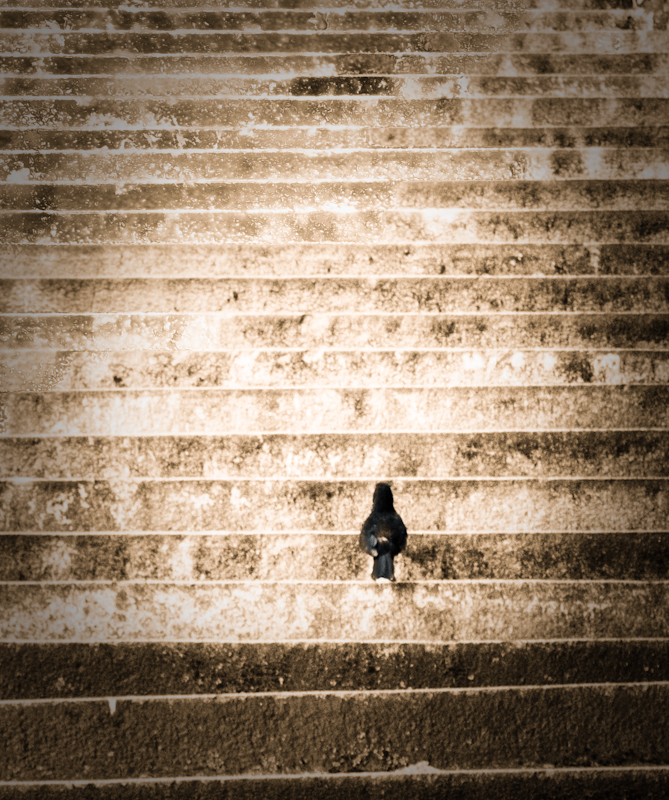 treppe-5.jpg