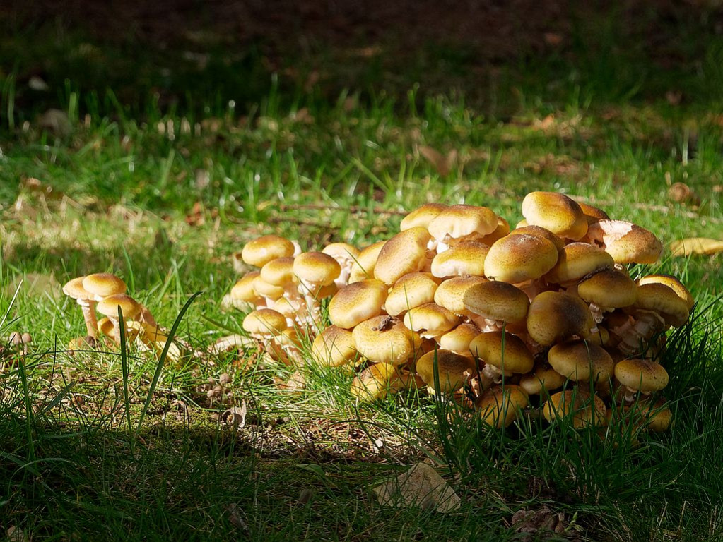 P1030437_DxO.jpg