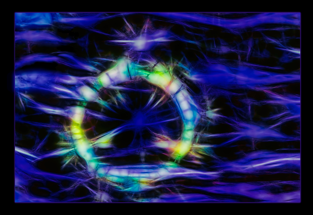 P2150518 fractalius Ring verkleinert.jpg