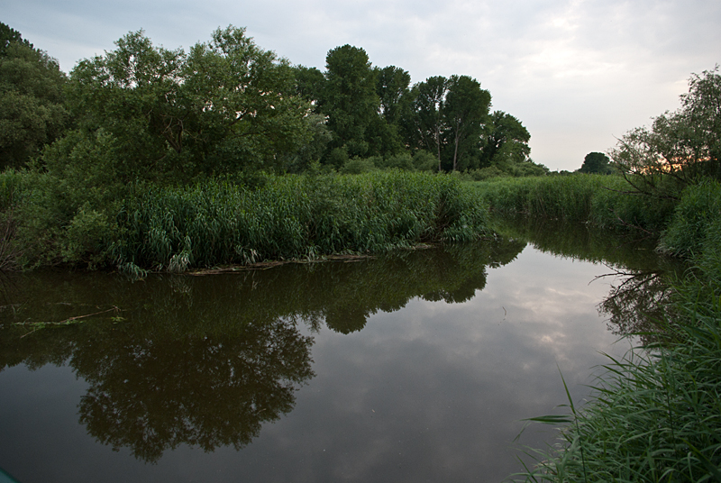 20_07_Moorwerder_NSG Heuckenlock_Hochwasser_01.jpg