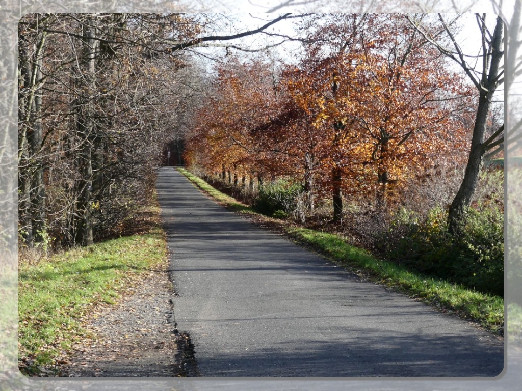P1150147_ji.jpg