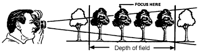 dof-1.gif