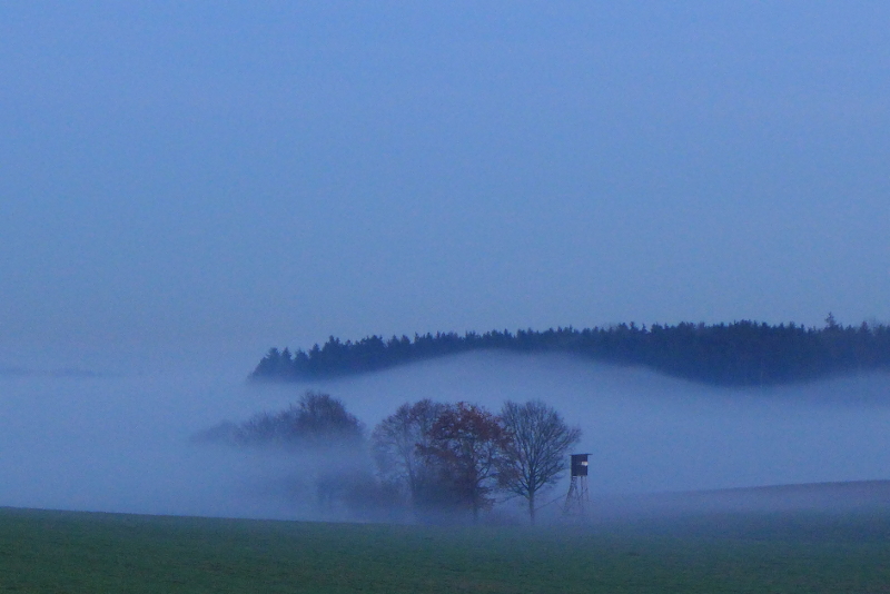 blaue Stunde.JPG