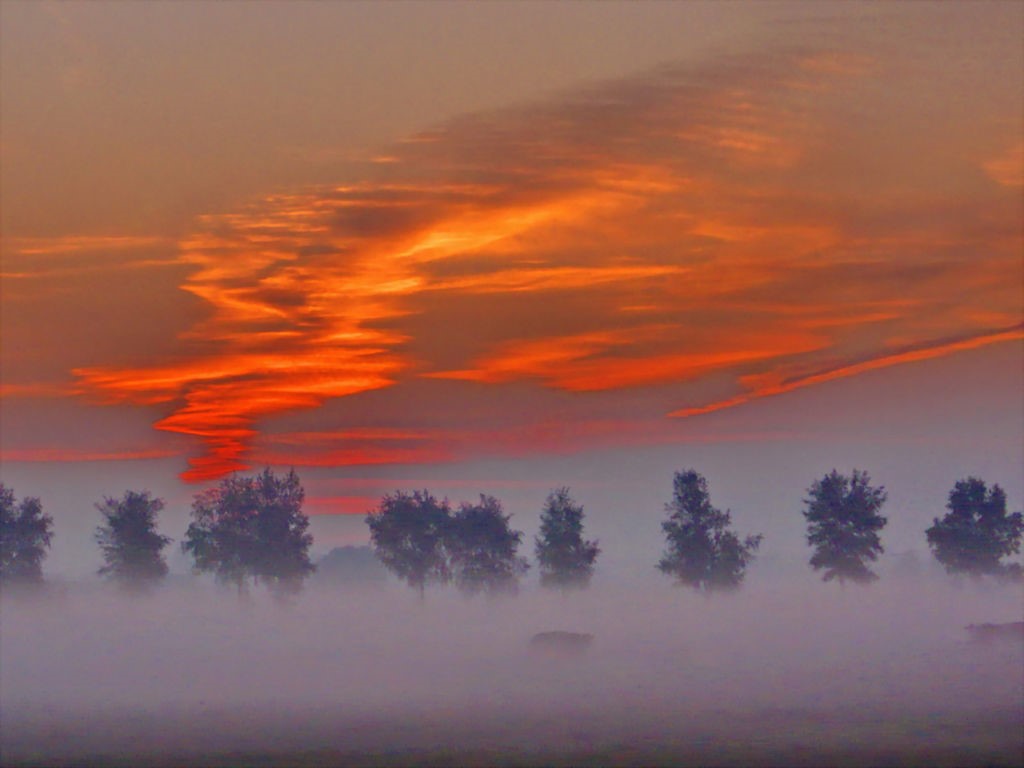 Nebel.jpg