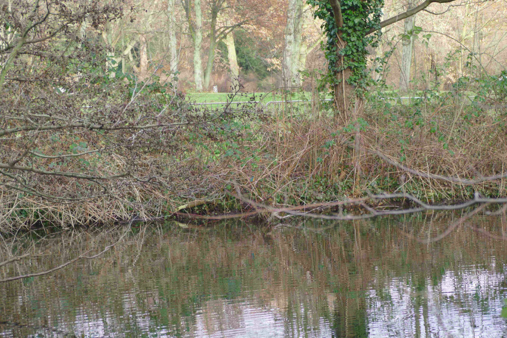 P1070922_niedrig30.jpg