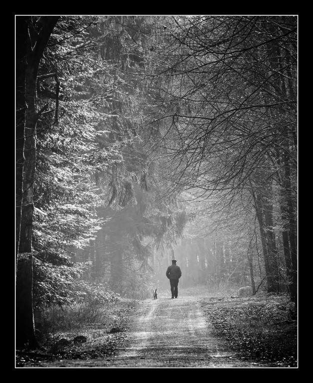 Waldspaziergang2_BW_R_1200px.jpg