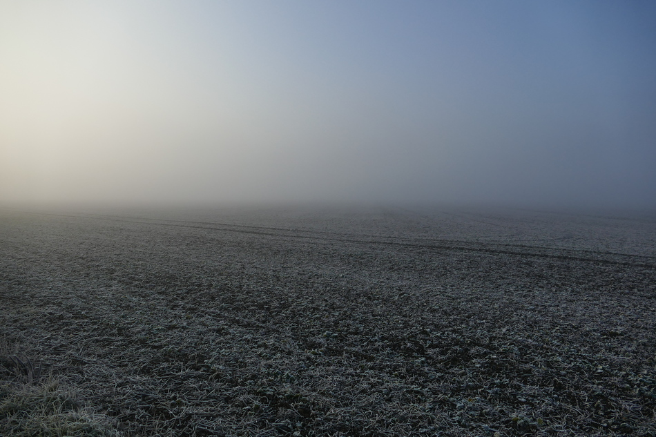 P1150977 verkl.JPG