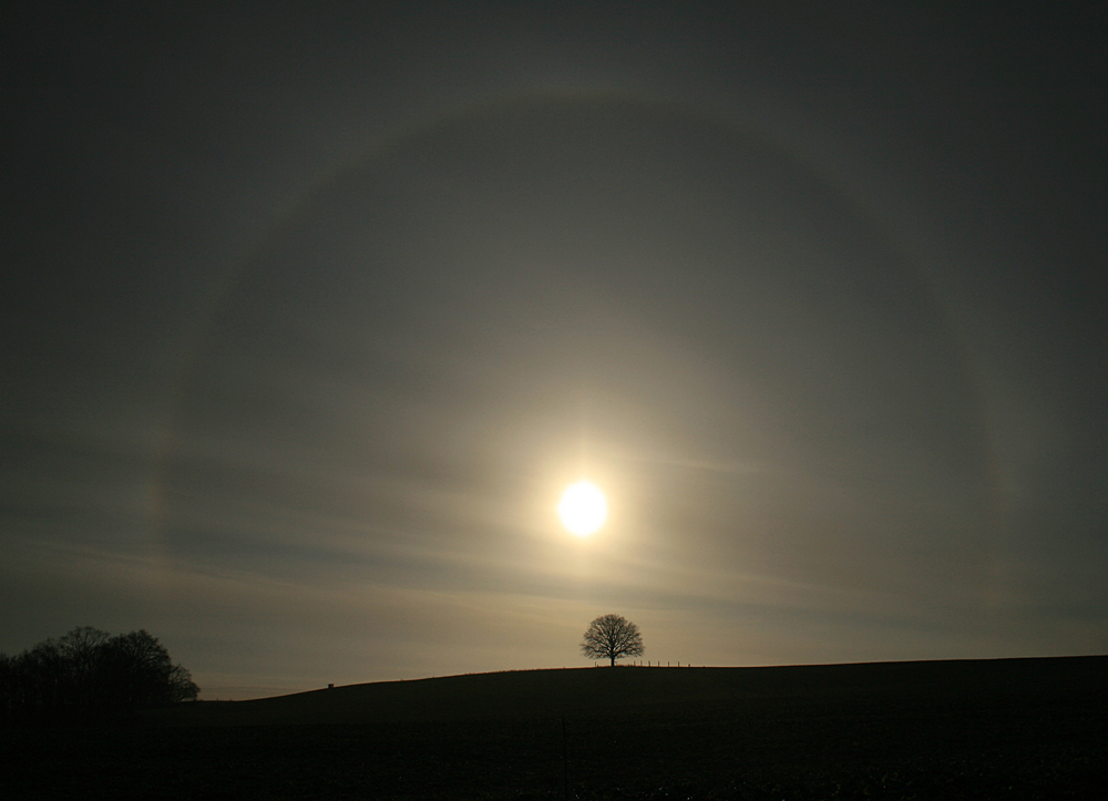 Canon 30D_Haloring_März_2009_.jpg