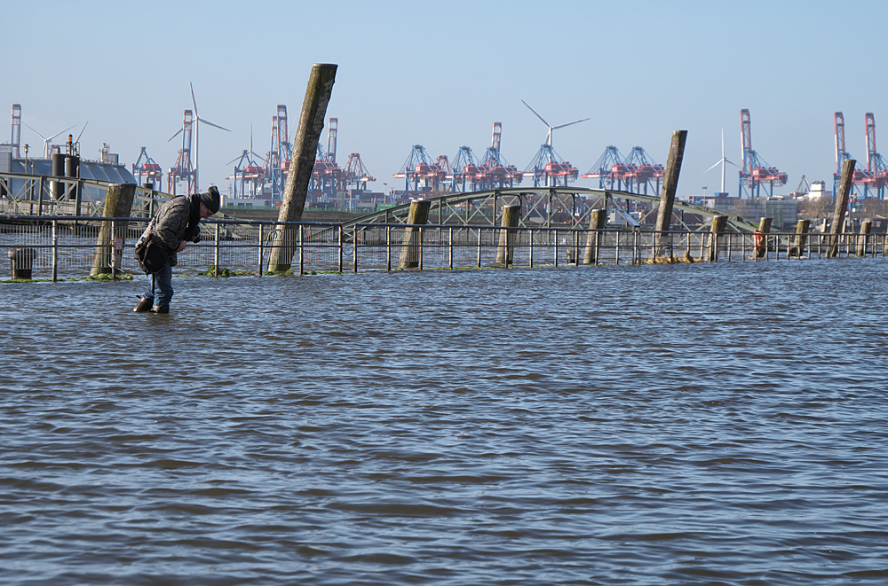 17_02_Hamburg_Hafen_Fischmarkt_Sturmflut_03.jpg