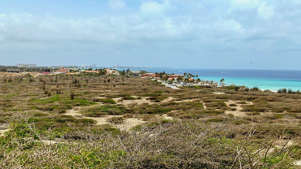 comp_P1000467a Aruba.jpg