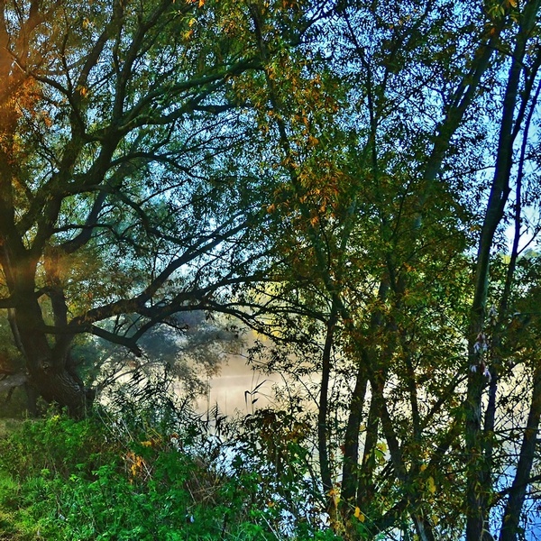 P1220740_1zu1_2.jpg