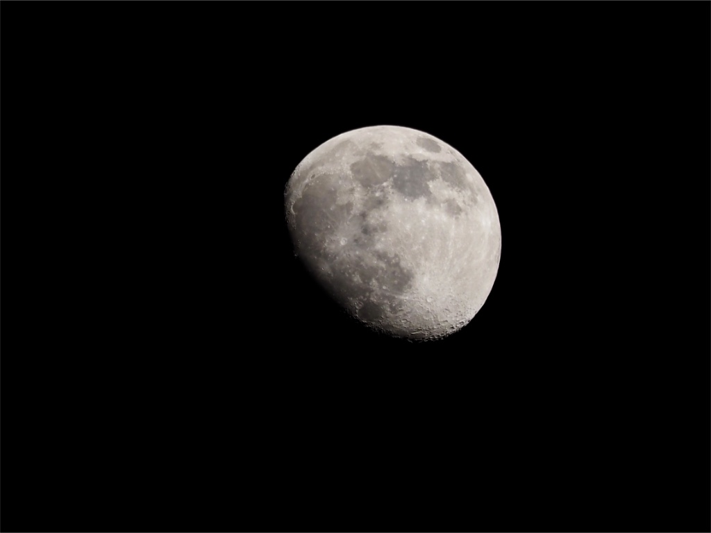 3705A535-FED1-4D48-8A4C-C80DF0232331.jpeg
