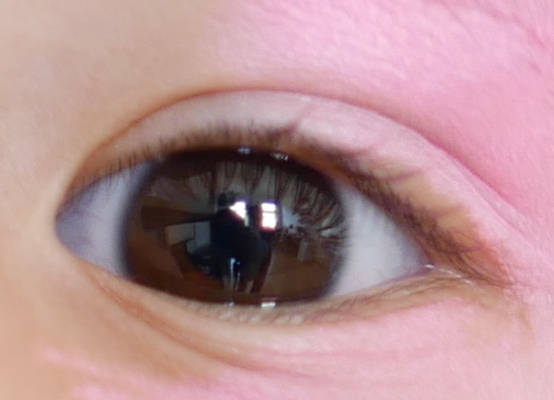 Auge.jpg