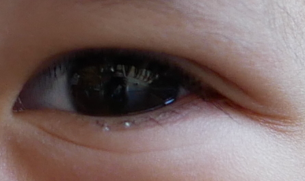 auge2.JPG