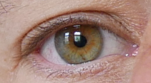 auge3.JPG