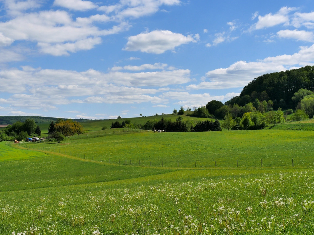 comp_P2010513-Sannerz- mein Heimatdorf.jpg