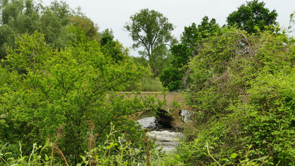 P1250171 crverkl.JPG