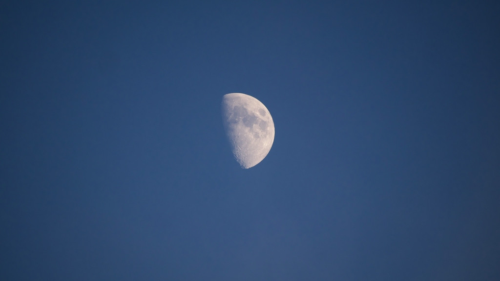 P1020238_R10.jpg
