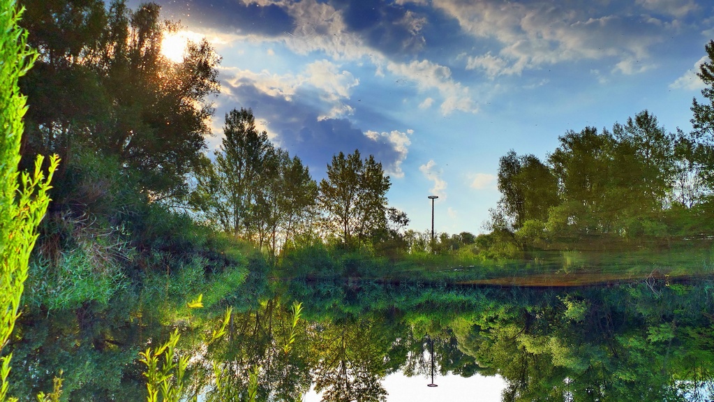 P1260027 gespverkl.jpg