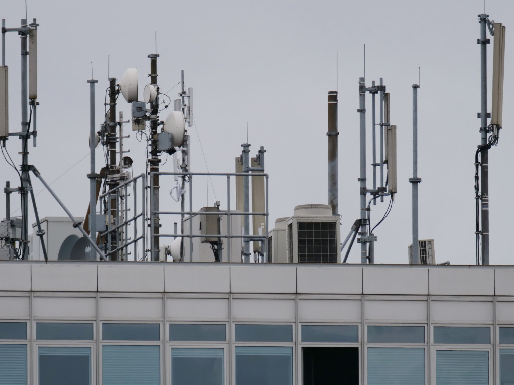 1 Lei 400 533mm klein hell P1009329.JPG