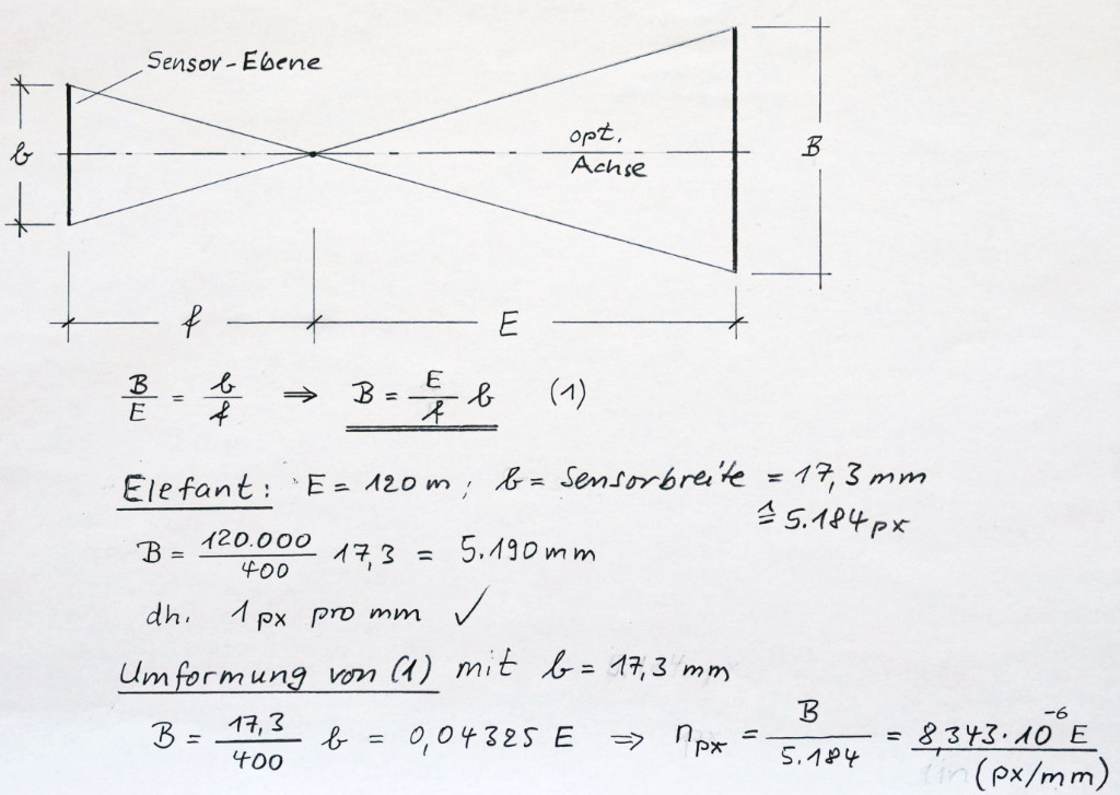 P1009423.JPG