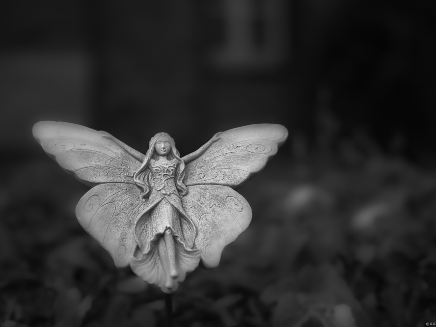 _8190138.jpg