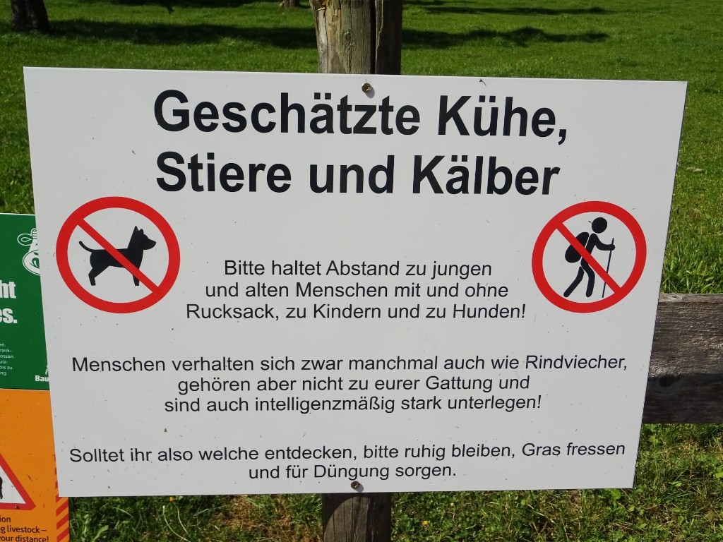 Rinderundsoweiter.jpg