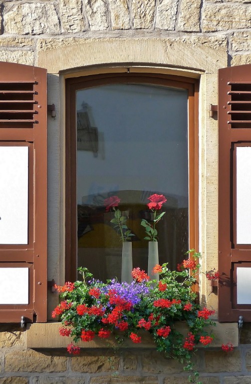 Blumenfenster 265_ShiftN_1.jpg