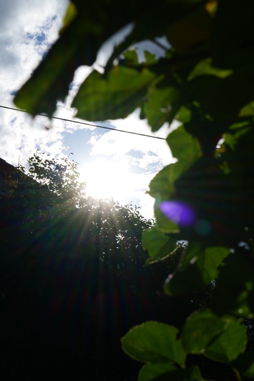 PS5_0016.JPG