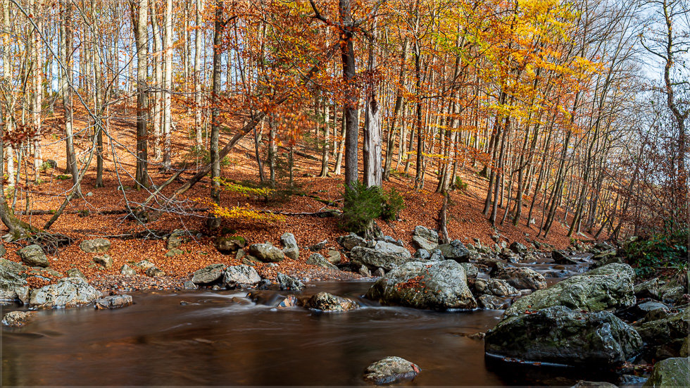 201107_For_90625P.jpg