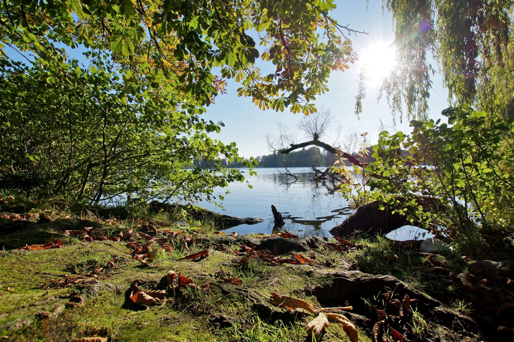 Rantzauer See.jpg