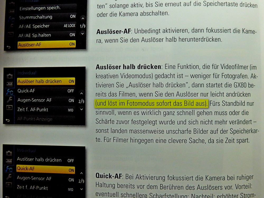 P1010687lf.JPG
