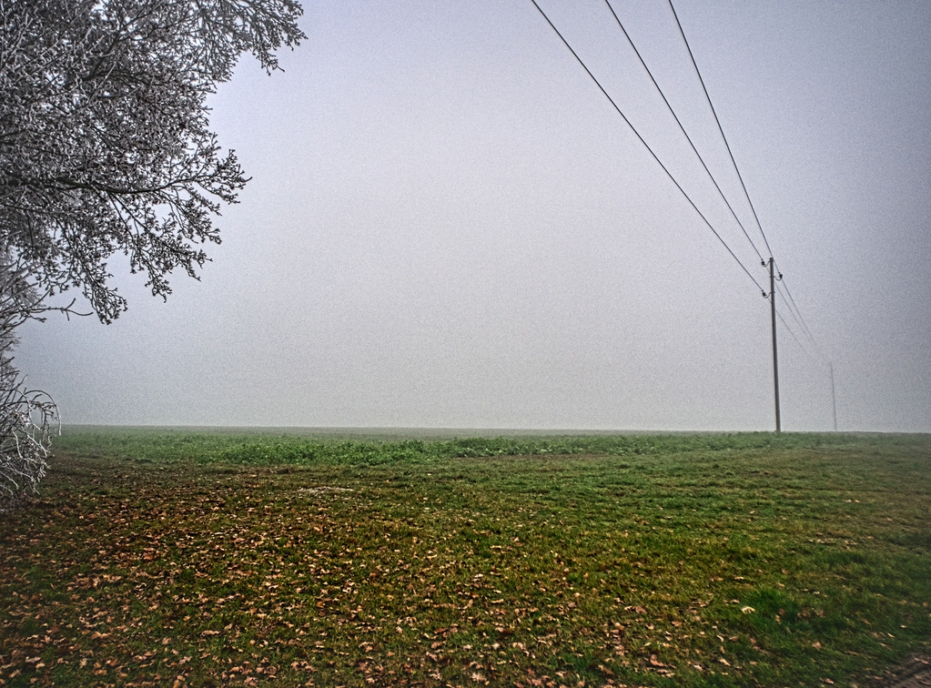 Mist (2).jpg