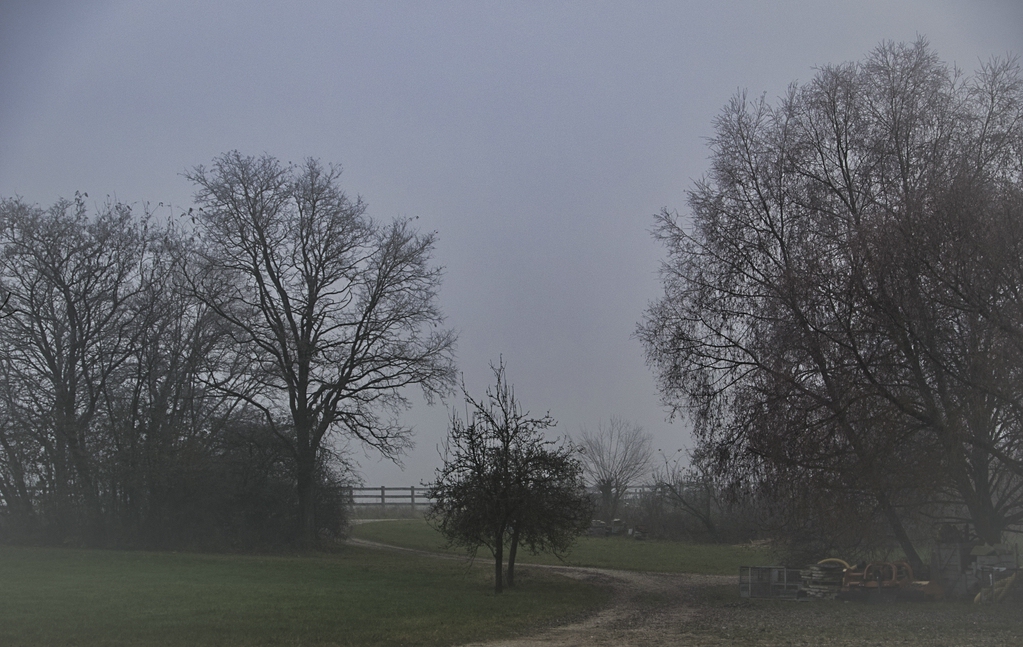 Mist.jpg