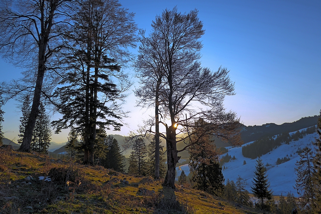 Herbstspaziergang#lf.jpg