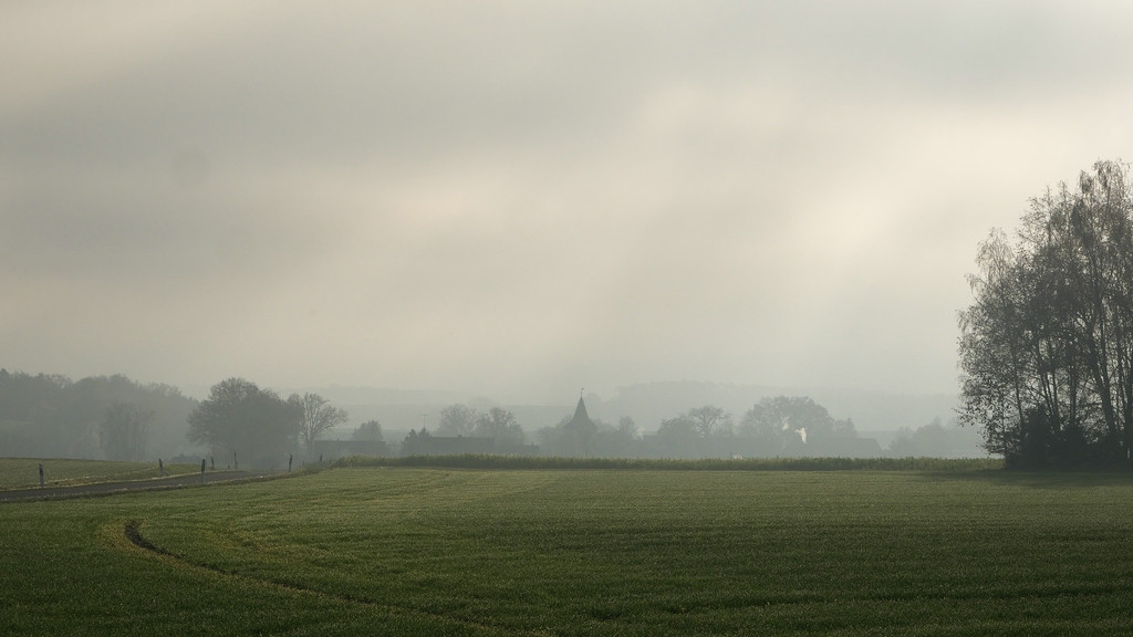 P1040493_R10.jpg