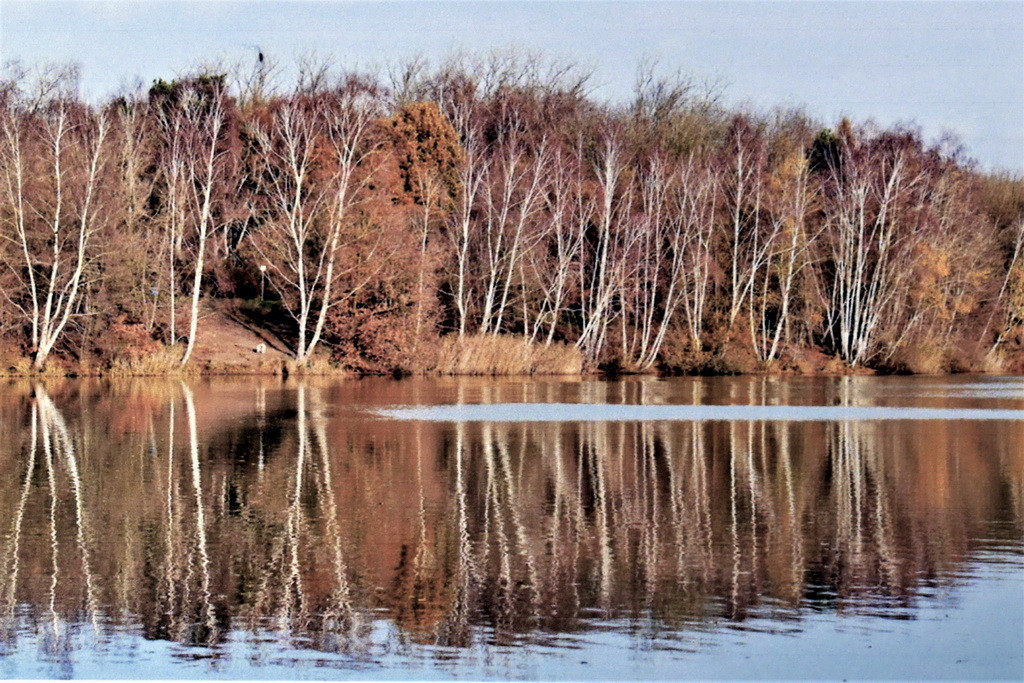 An der Tonkuhle.JPG