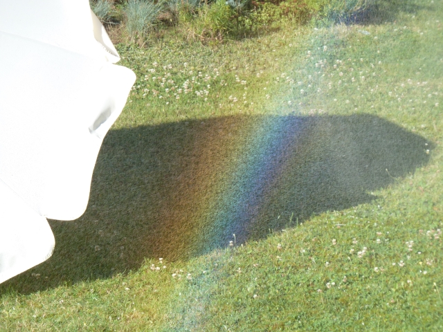 regenwiese1.jpg