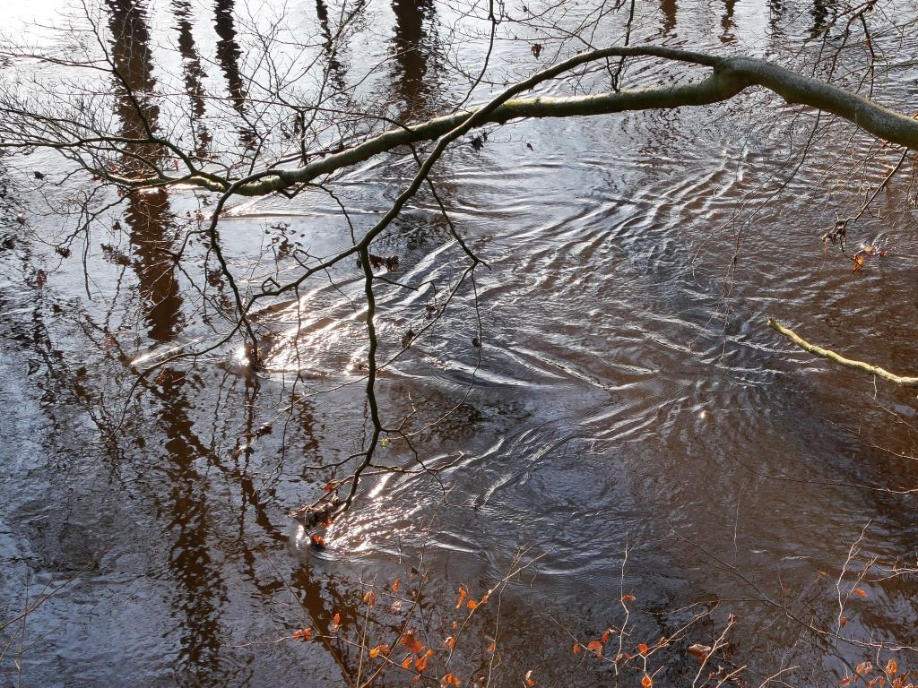 P1051580.JPG