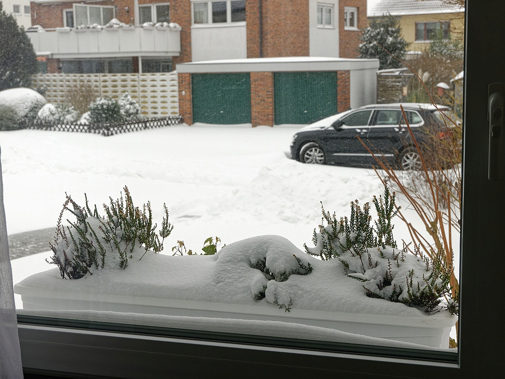 Fensterblick.jpg