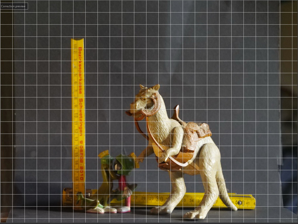 test_A_1.jpg