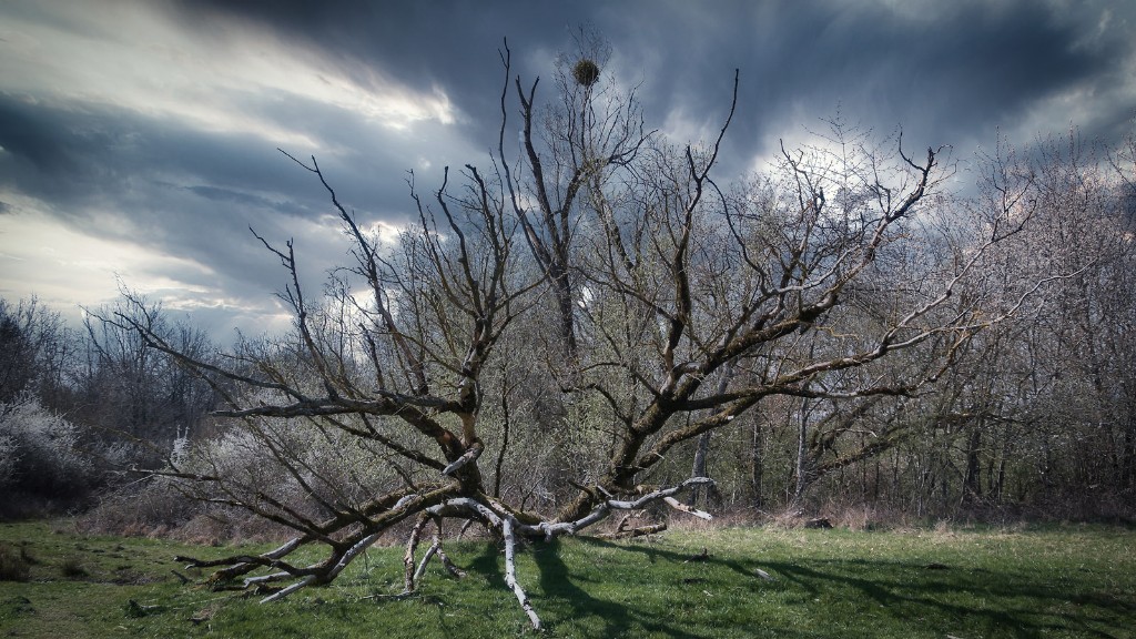 2021_01 Verschiedenes 213 lu.jpg