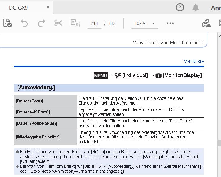 GX9 Autowiedergabe.JPG