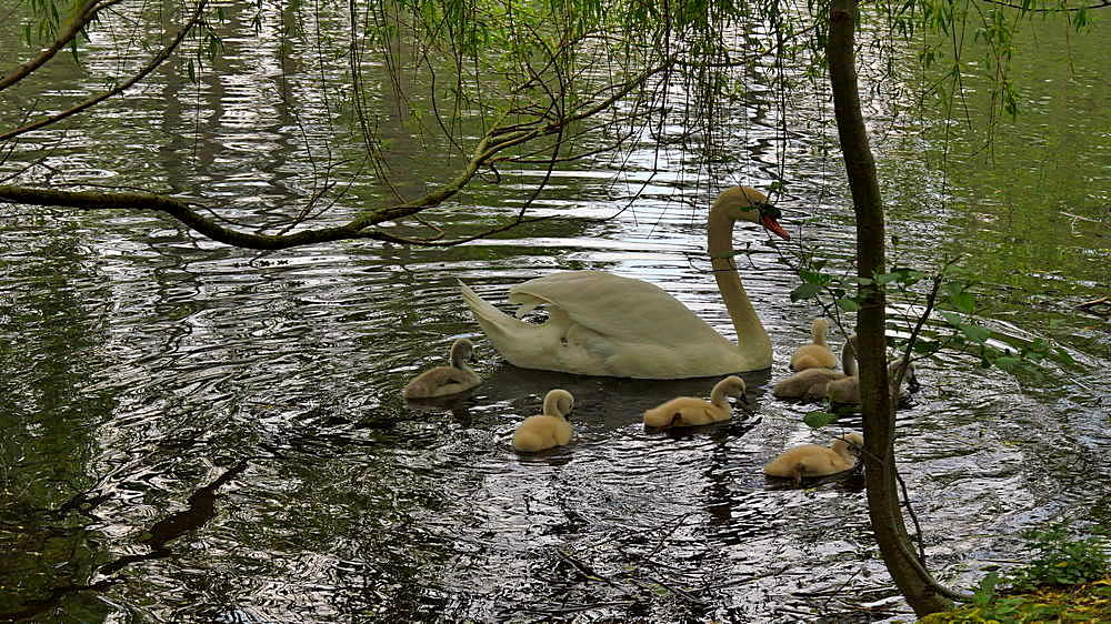 2-P1000023_Autofarbe_Grün -3 Schärfe +10 Kontrast 20.JPG