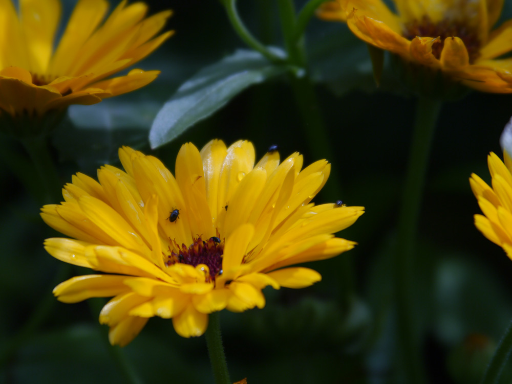 test-2.jpg