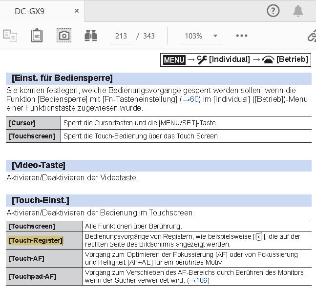 GX9   Indiv-Menü   Touch-Register.JPG